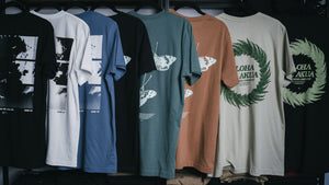 Spring Collection Tshirts