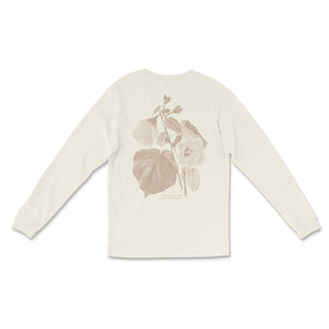 Hau Long Sleeve - Offwhite
