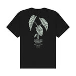 Kalo - Black