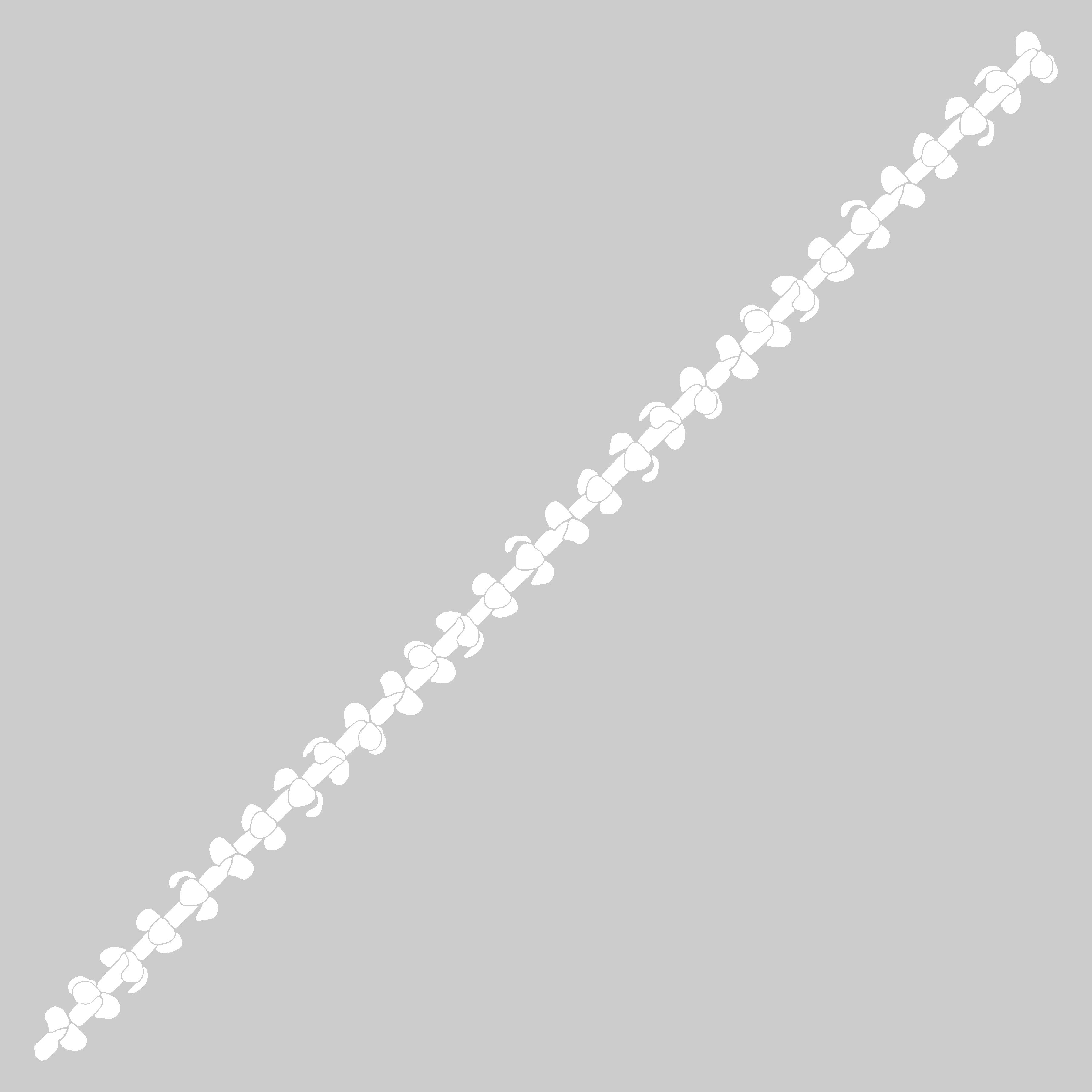 Puakenikeni - Sticker Roll