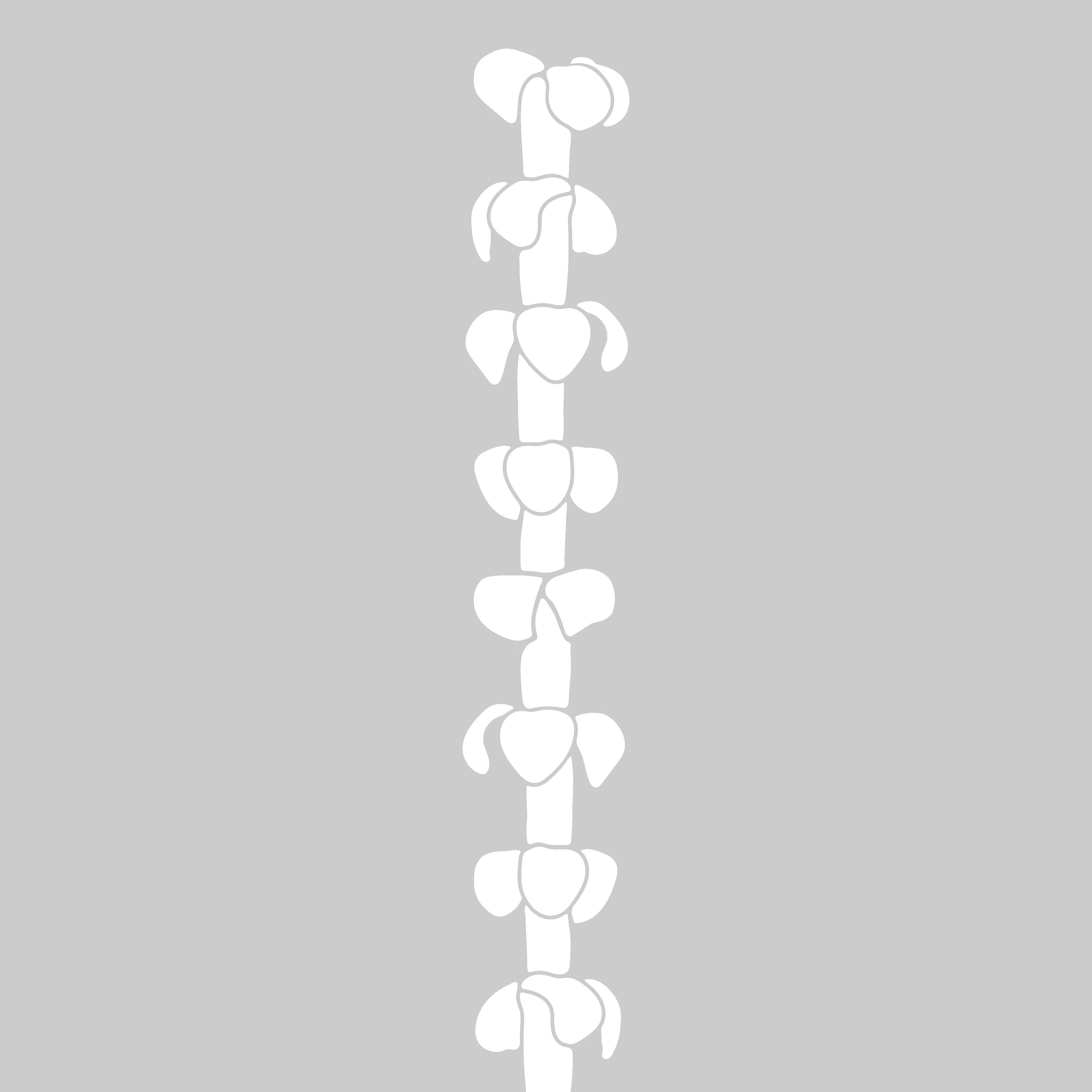 Puakenikeni - Sticker Roll